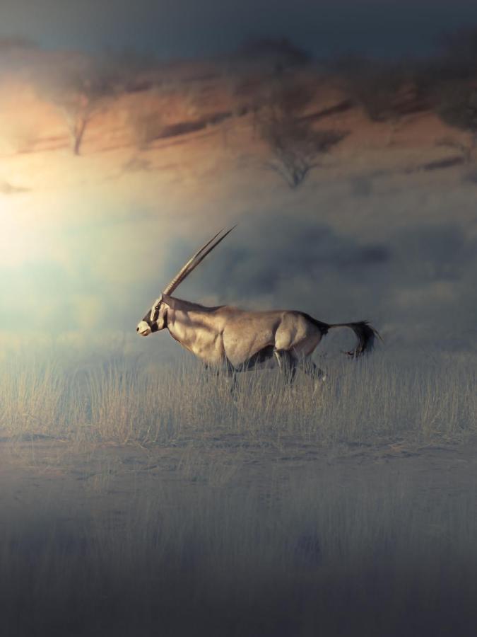 Вилла Bagatelle Kalahari Game Ranch Hardap Экстерьер фото