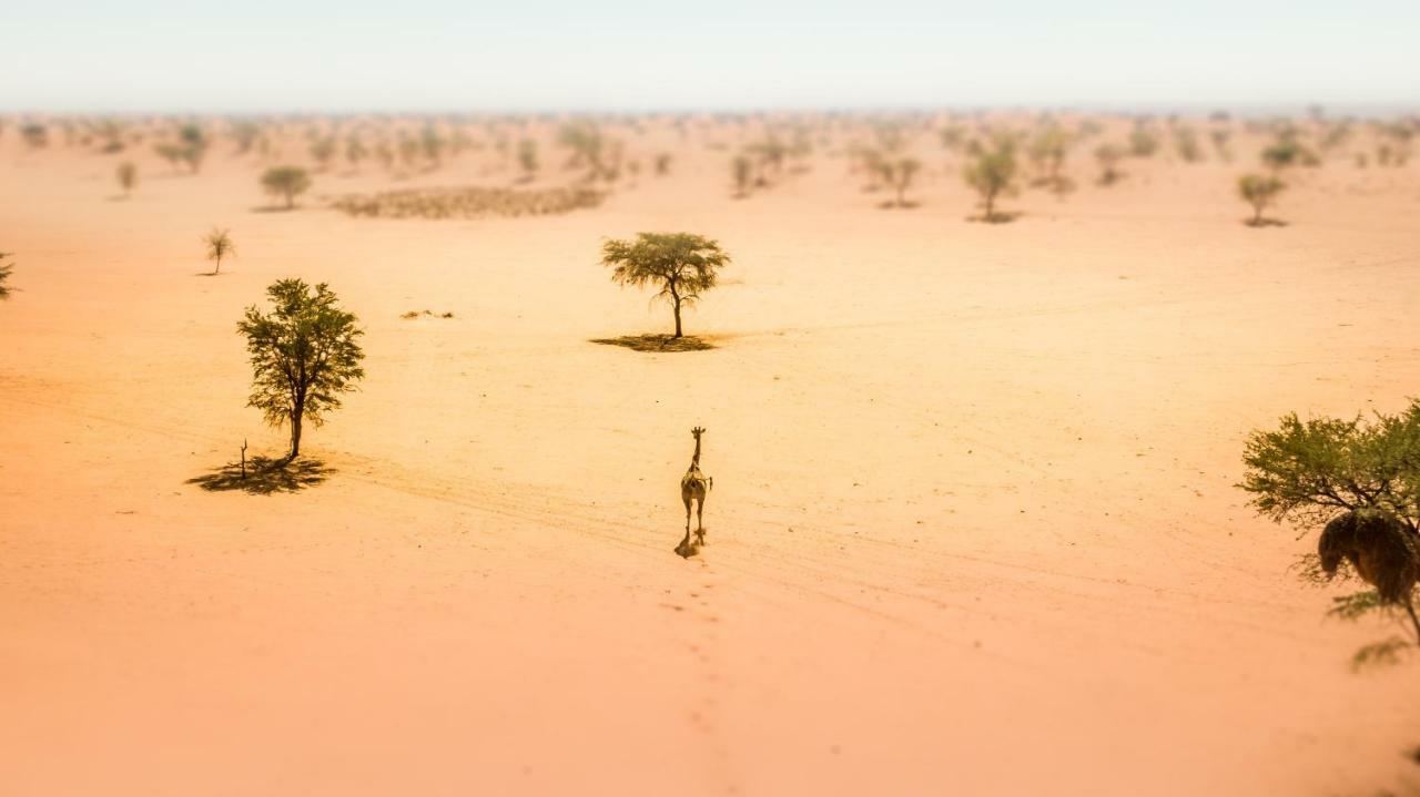 Вилла Bagatelle Kalahari Game Ranch Hardap Экстерьер фото