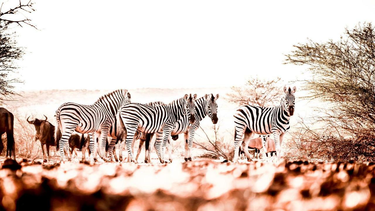 Вилла Bagatelle Kalahari Game Ranch Hardap Экстерьер фото