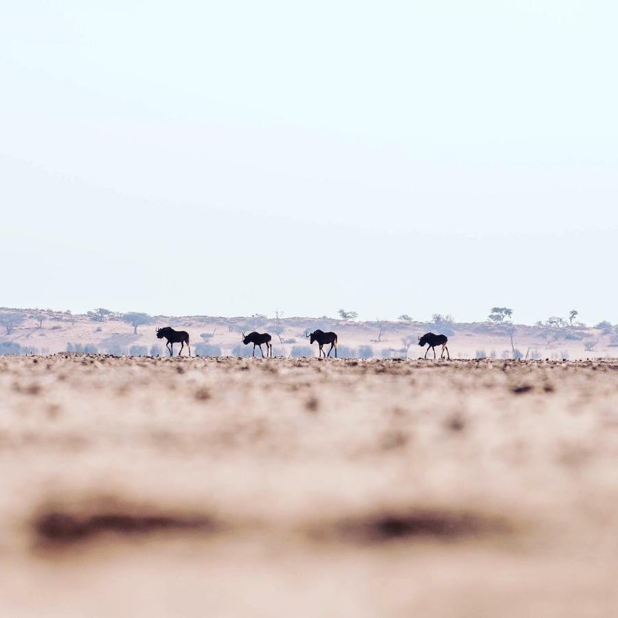 Вилла Bagatelle Kalahari Game Ranch Hardap Экстерьер фото