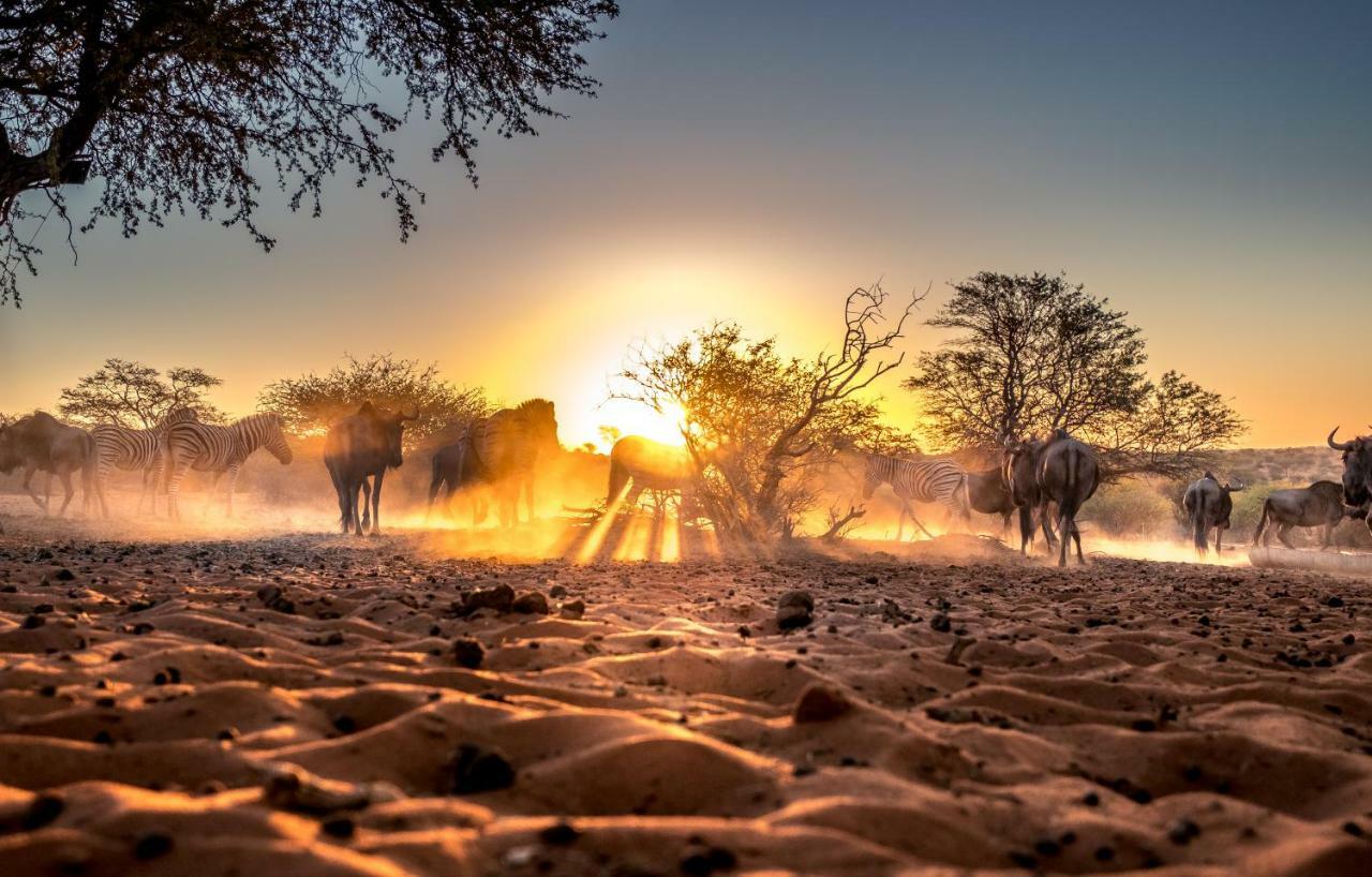 Вилла Bagatelle Kalahari Game Ranch Hardap Экстерьер фото