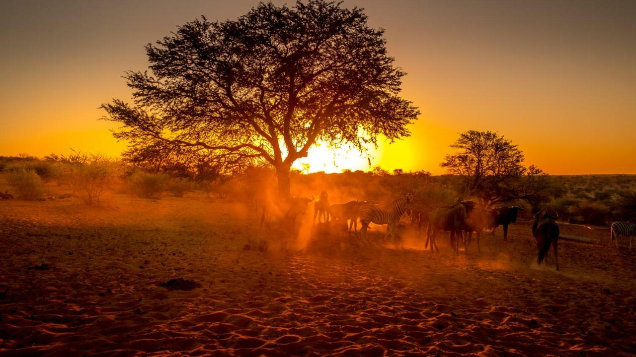 Вилла Bagatelle Kalahari Game Ranch Hardap Экстерьер фото