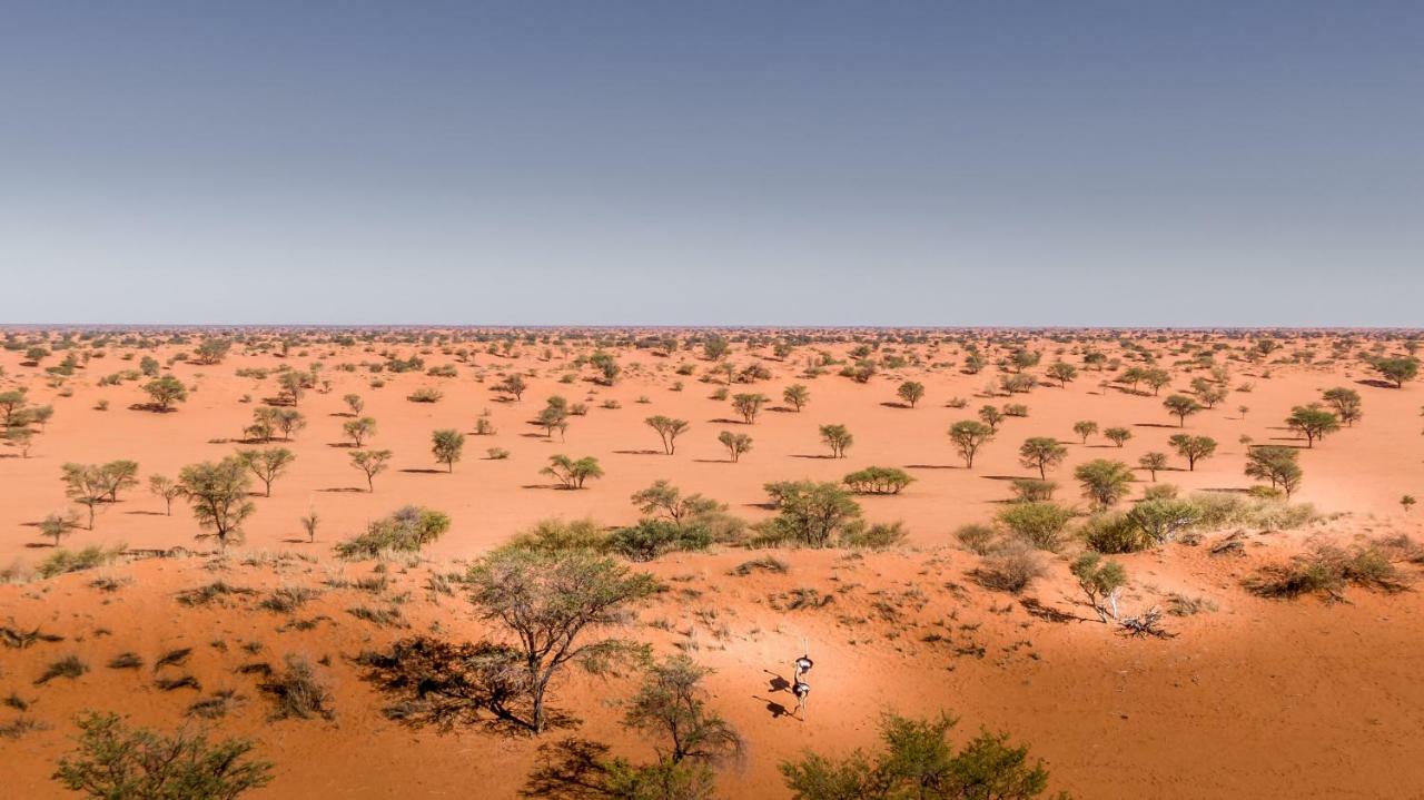 Вилла Bagatelle Kalahari Game Ranch Hardap Экстерьер фото